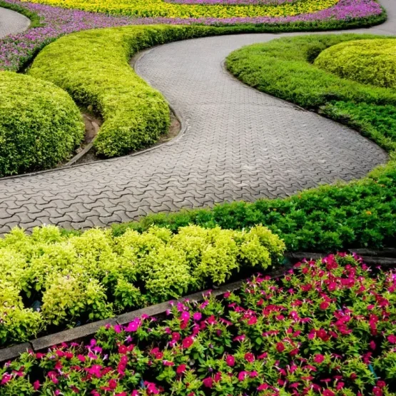 Custom Landscaping Design