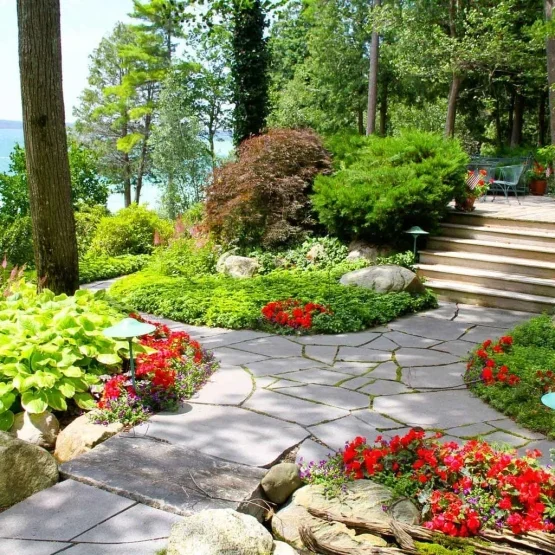 professional landscaping services